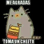 Eres lo másStadeoimportante enmi vida