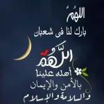شوشو ٦٦
