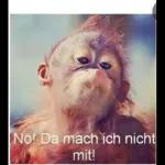 KOMM, HÖR AUF
memecruncha