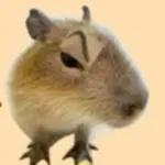 tiernos