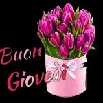 giorni della settimana