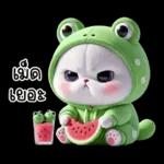 ข้าวต้ม ชุดกบ หน้าบูด