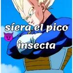 vegeta