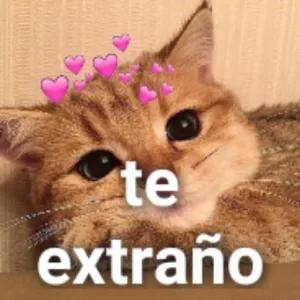 mZBHYb