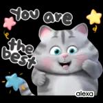 Funny Cat Stickers