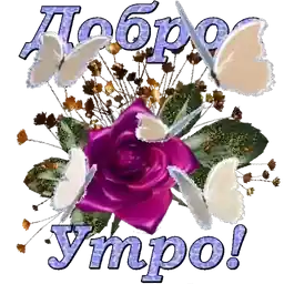 сладких снов