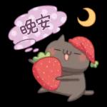 兔子小白與貓咪小黑 2
