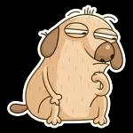 Diggy
                            Mikhail Golub