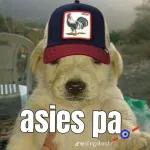Viickyfas Fue la mano de Dios
