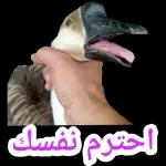 الله يرزقكم السعادة الدائمة الدنيا والآخرة