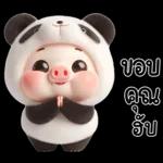 หมูแพนด้าน่ารักจังเลย