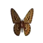 My Pack 27