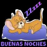 Buenas noches