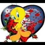 piolin.