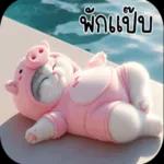 ครับ e? (ටි 25 e? ))