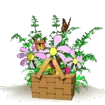 Vas, yo sigo. Eso somos.