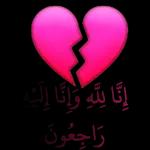 کاشانه