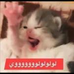 عمري انا