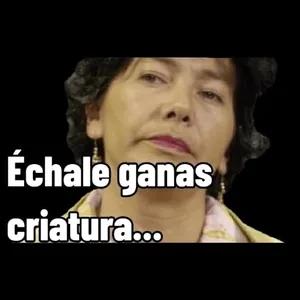 XBRtxH