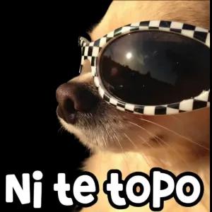 Aju8pF