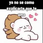 ya no se como explicarte que te amo