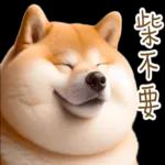 圓柴柴4：柴腹自由 薯條加大