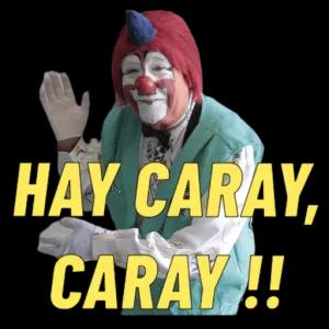 ZyIV70