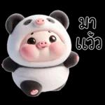 หมูแพนด้าน่ารักจังเลย