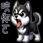 好二哈-日常白目篇