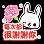 小兔子3D貼紙：超实用