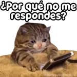 Ten pa'tu chicle