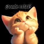 A Dios siempre Gracias!!