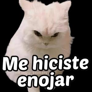 aj6ZS8