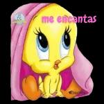 Te tengo siempre presente