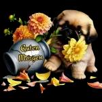 Liebe Knuddelgrüße