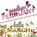 bye February hello March 2