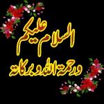 waqar raåjpøōt