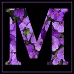 الزهور والحب لليوم