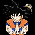  Actualizaciones diarias SIN suscripciones
