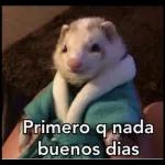 Amoooo