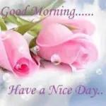 buenos dias te amo❤️❤️❤️