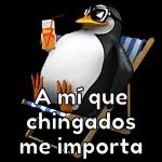MoniqueBH A mi que chingados me importa