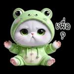 ข้าวต้ม ชุดกบ หน้าบูด