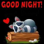 best wish for you