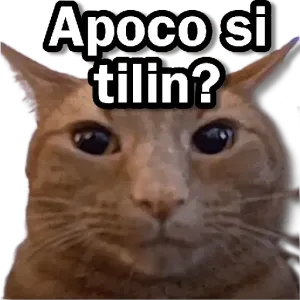 Apoco si tilin? - getsticker.com