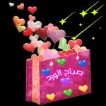 صباح الخير
بنا ططو