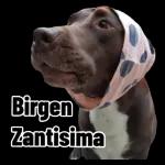 SOSTAN LINDA