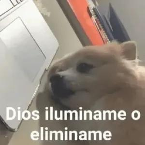 q7lzq9o