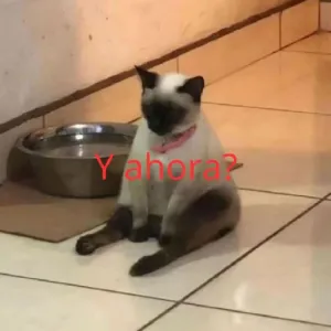 6Vdoer