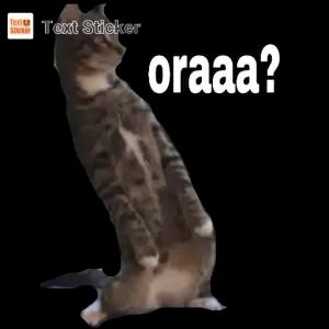 oraaa? - getsticker.com
